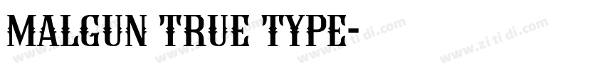 malgun true type字体转换